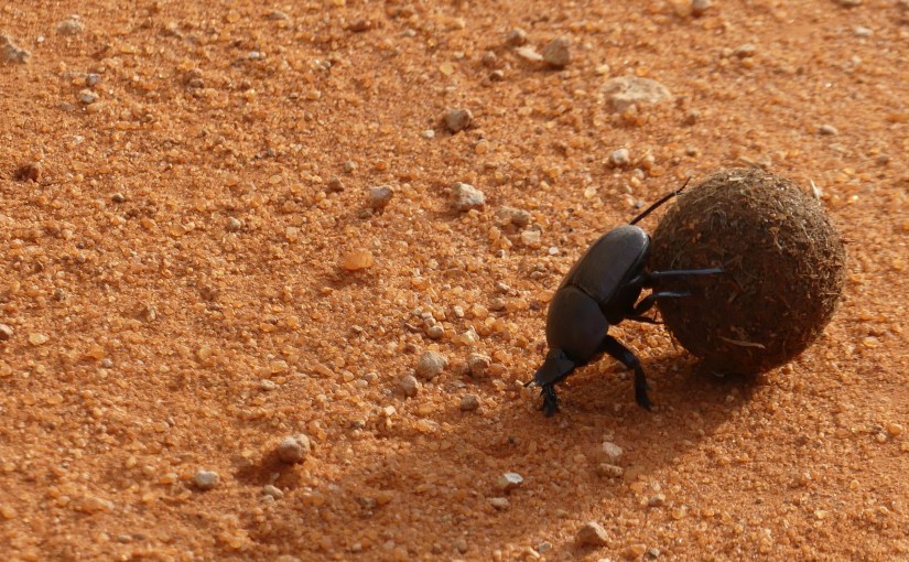 Just want to keep on&nbsp;rollin